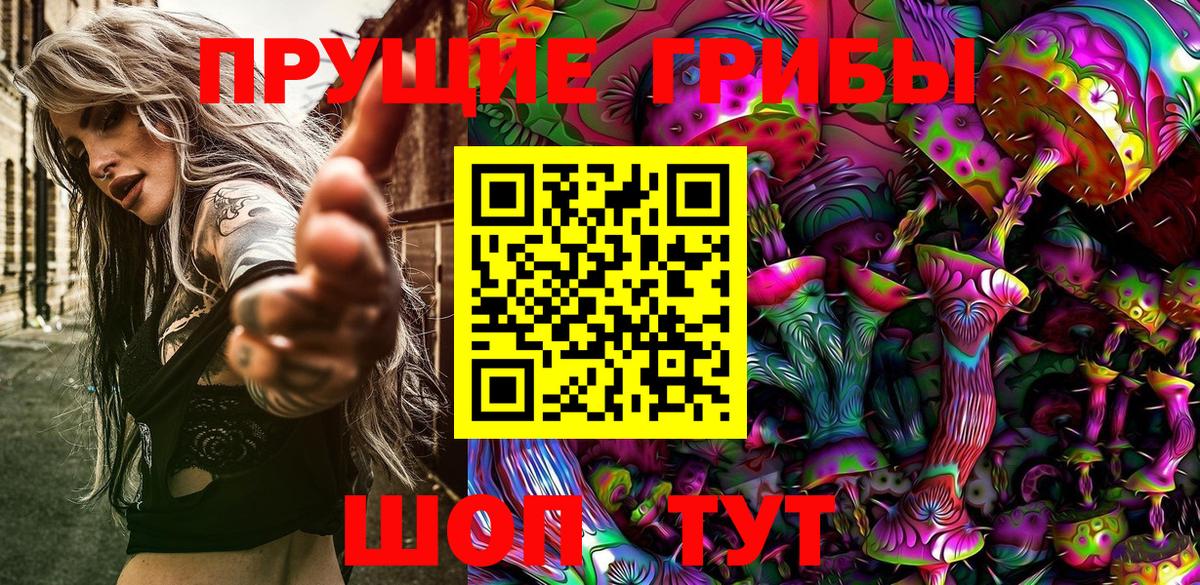 Псилоцибиновые грибы Psilocybe  Вход с VPN  купить   Борзя 